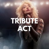Tina Turner Tribute Act Wanted For 40th Birthday Celebration In Hemel Hempstead - 15 July 2023 image